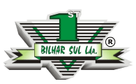 logo bsul 1